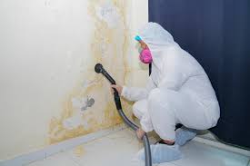 Best Mold Prevention Services  in Lead, SD